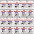Royal Canin CCN Sterilised Pouch Köpek Yaş Maması 85gr*20 Adet