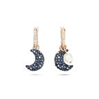 Swarovski SWR5671569 Kadın Küpe