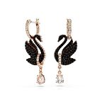 5678047 Swarovski Küpe Swan:Pe Rc06/Ros