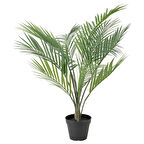 Yapay bitki, palmiye, 12 cm, palmiye
