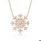 Gümüş Kar Tanesi Kadın Kolye