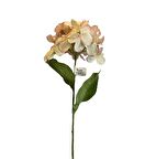 Kuk Çiçek Ortanca Dal (Cream Pink)