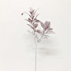 Kuk Çiçek Kuzukulağı Dal (Brown)