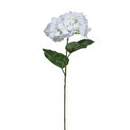 Kuk Ortanca Dal Summer Beyaz