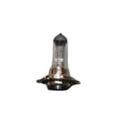 Ampul H7 Universal Export