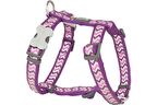Red Dingo Reflektörlü Ziggy Desenli Mor Xl Göğüs Tasması 25mm - KONG