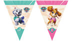 Paw Patrol Skye Üçgen Bayrak Set 2,90