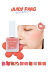 Doğal Görünüm Sunan Nemlendirici Likit Allık 9g. APIEU Juicy-Pang Water Blusher (CR01)