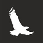 Uçan Kartal Sticker17x17 Cm Beyaz