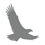 Uçan Kartal Sticker17x17 Cm Gri