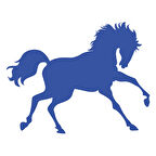 At Sticker 17x17 Cm Mavi