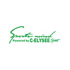 Sports Mind CITROEN C-ELYSE ESports Sticker 17x17 Cm Yeşil