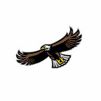 Uçan Kartal Sticker 10x10 cmRenkli Sticker