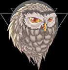 Baykuş Sticker 10x10 cmRenkli Sticker