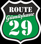 29 Gümüşhane Sticker 10x10 cmRenkli Sticker