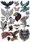 Kartal Eagle Sticker Set-10 15 Parça Telefon, Tablet, Defter, Laptop Sticker