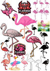 Flamingo Sticker Set 15 Parça Telefon, Tablet, Defter, Laptop Sticker