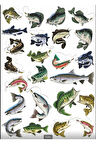 Balık ve Balıkçılık Sticker Set 3