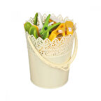 Periboia Sepetli Yaysız Mandal (15 Mandal)