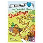 The Berenstain Bears and the Ducklings
