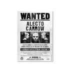 Wizarding World Harry Potter Poster - Wanted, Alecto Carrow