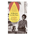 A Raisin in the Sun - Vintage US