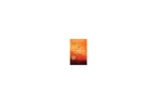 The Martian (Movie Tie-In EXPORT) - Andy Weir