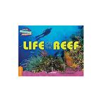 Life on the Reef