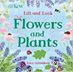 Lift And Look: Flowers And Plants - Tracy Cottingham