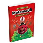 LGS Matematik 8 Deneme