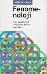 Nitel Desenler: Fenomenoloji
