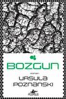 Bozgun