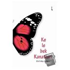 Kelebek Kanatları