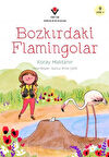 Bozkırdaki Flamingolar