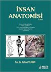 İnsan Anatomisi