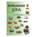 Bitkilerdeki Şifa