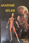 Anatomi Atlası