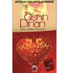 Aşkın Pınarı