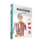 İnsan Fizyolojisi