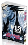 Bleach 13. Cilt