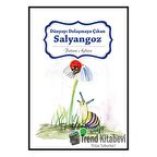 Dünyayı Dolaşmaya Çıkan Salyangoz