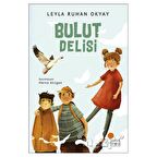 Bulut Delisi