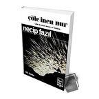 Çöle İnen Nur (Hatıra Baskısı)