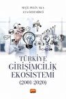 Türkiye Girişimcilik Ekosistemi (2001-2020)