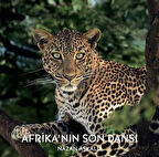 Afrika'nın Son Dansı / Nazan Aşkalli