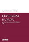 Çevre Ceza Hukuku - Çevre Ceza Genel Hükümler Cilt 1
