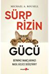 Sürprizin Gücü