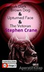 A Dark Brown Dog - Upturned Face - The Veteran - İngilizce Hikayeler A2 Stage 2