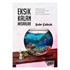 Eksik Kalan Mısralar