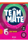 TeamMate 6 Test Book